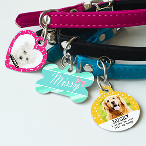 order dog collar tags online