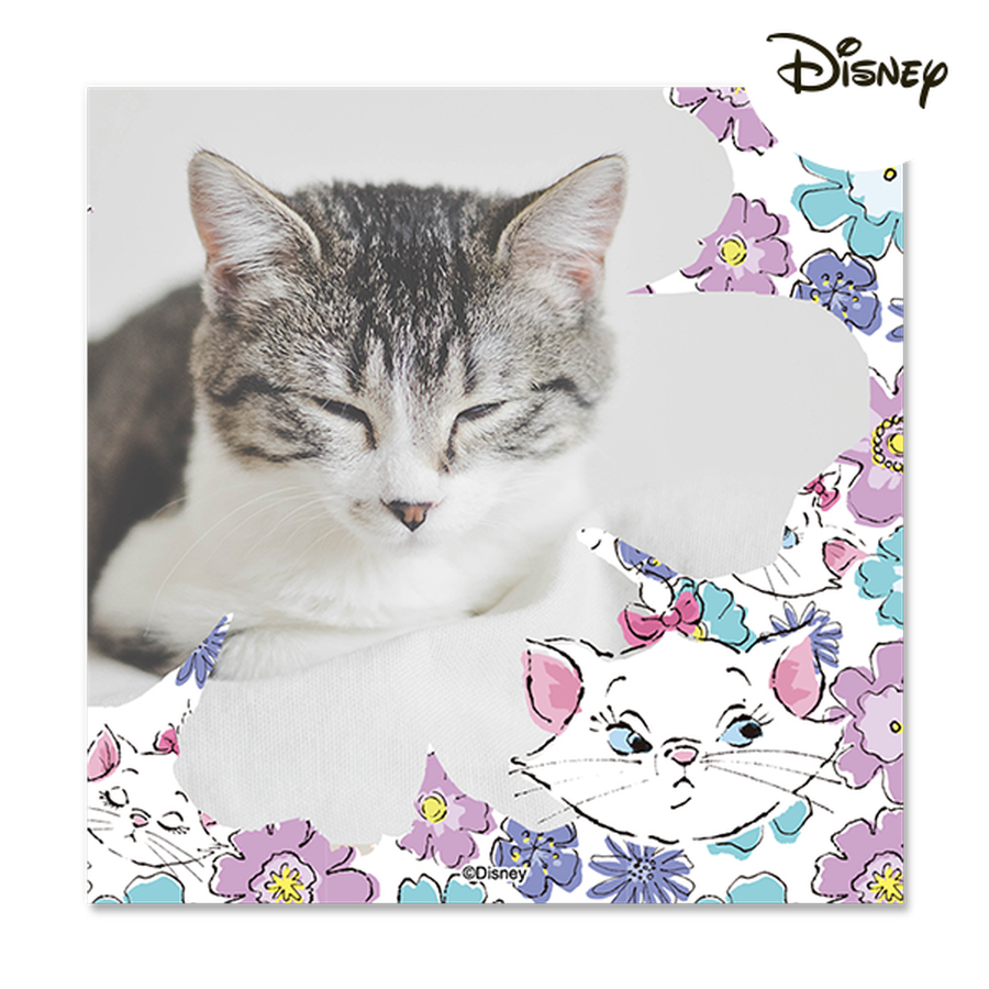 Disney Aristocats - Flowery Marie Photo Magnets  Personalized 